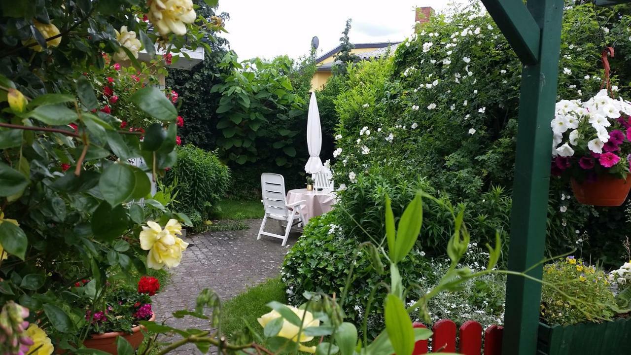 Haus Sandra Heringsdorf  Exteriör bild